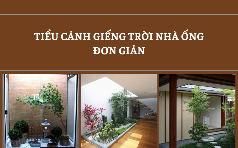 tiểu cảnh giếng trời nhà ống