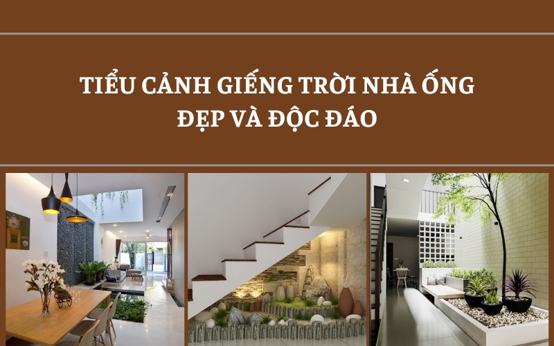 tiểu cảnh giếng trời nhà ống