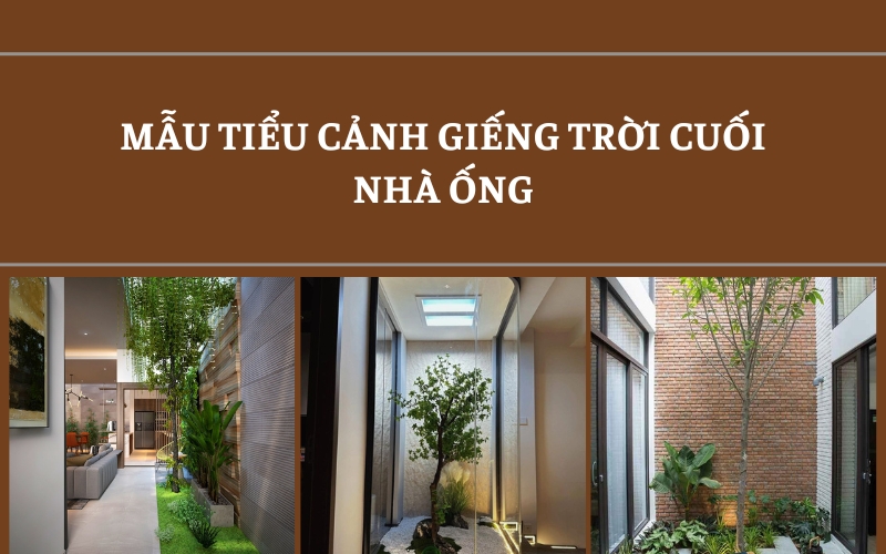 tiểu cảnh giếng trời nhà ống