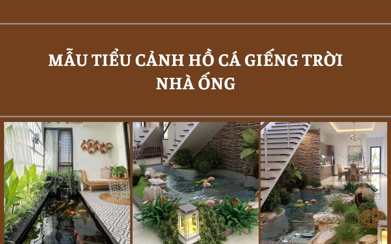tiểu cảnh giếng trời nhà ống