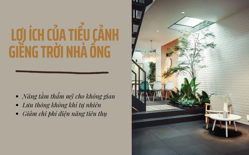 tiểu cảnh giếng trời nhà ống