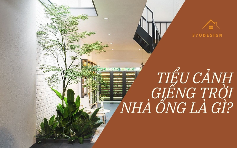 tiểu cảnh giếng trời nhà ống