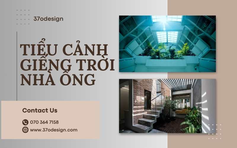 tiểu cảnh giếng trời nhà ống