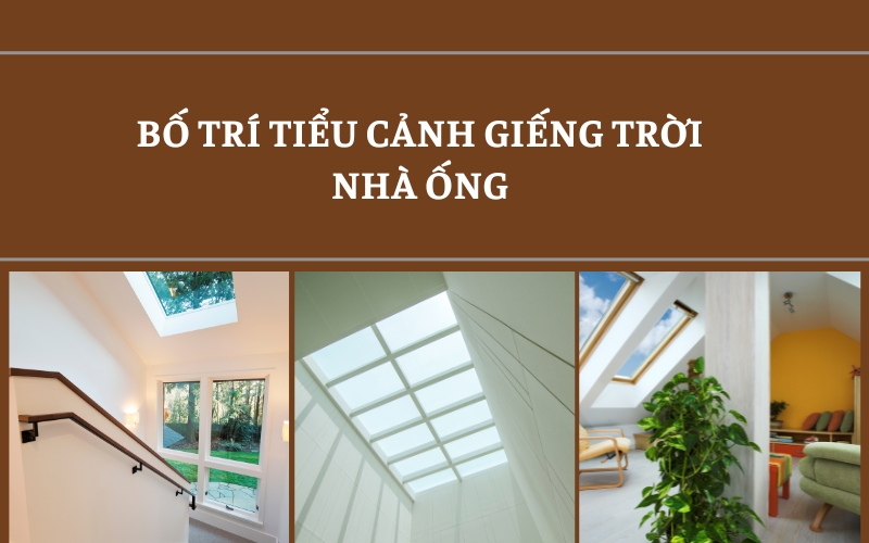 tiểu cảnh giếng trời nhà ống
